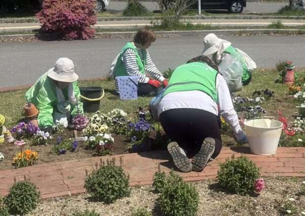 くろまろ　260408