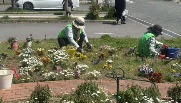 くろまろ　260408