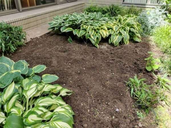 医療センター　260513