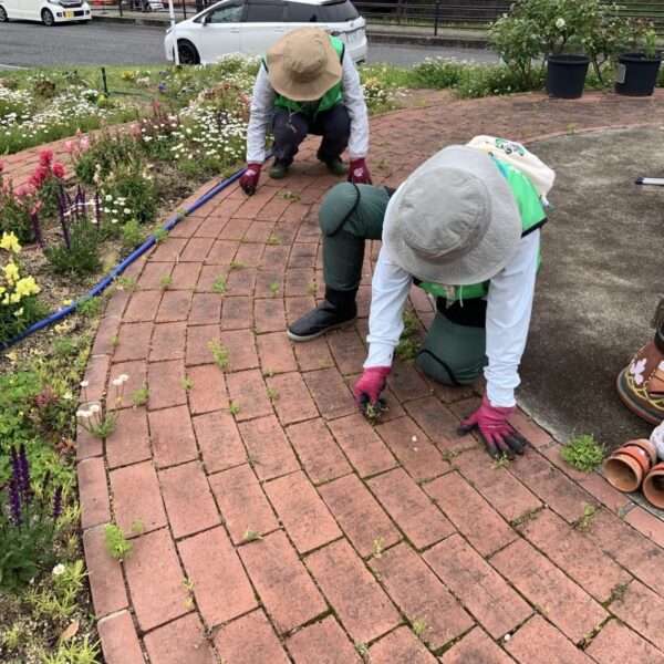 くろまろフルルガーデン　260506