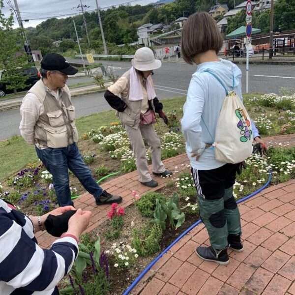 くろまろフルルガーデン　260506