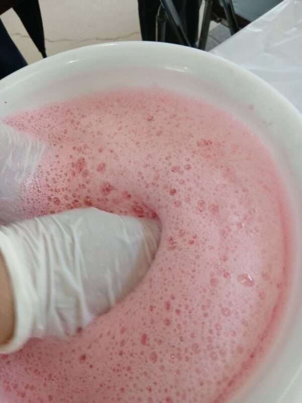 草木染　260524