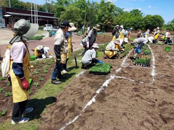 一般5月　260507