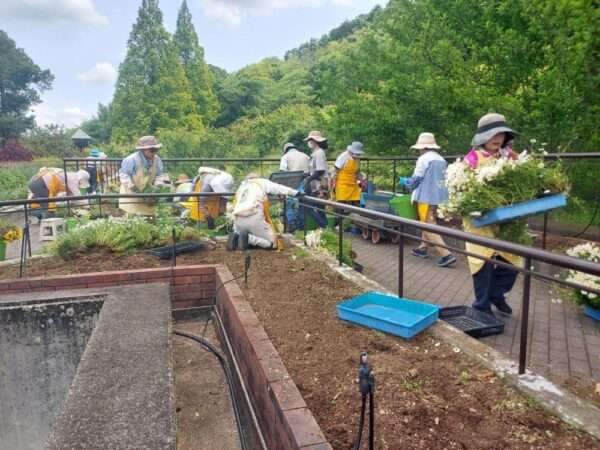 一般5月　260512