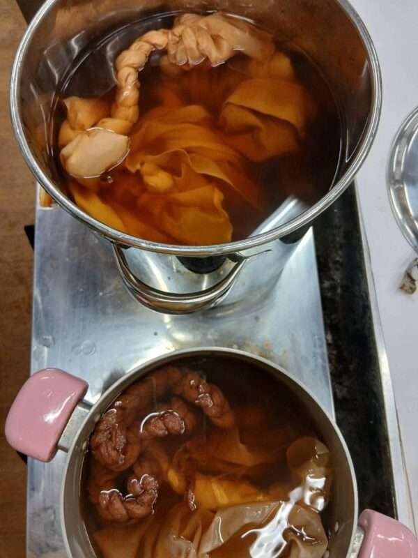 草木染 260602
