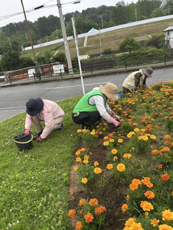 くろまろ　260701