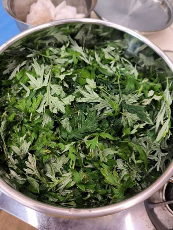 草木染　260711