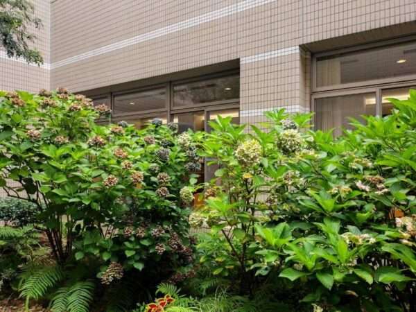 医療センター 260715