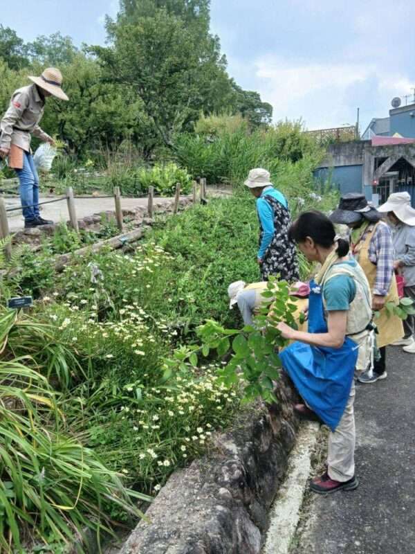 草木染　260718
