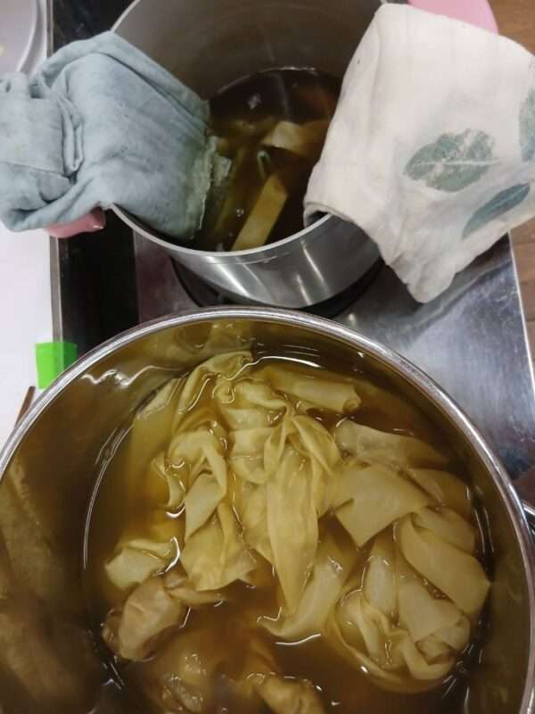 草木染 260804