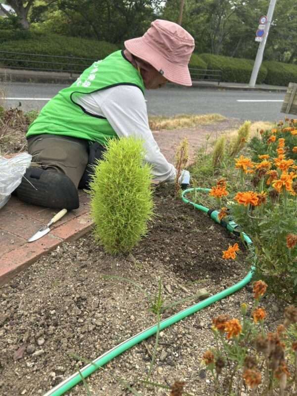 くろまろ　260902