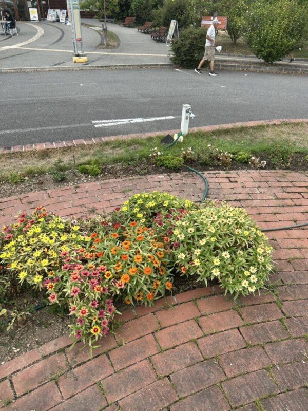 くろまろ　260902