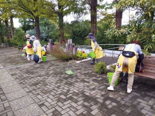 一般 260917