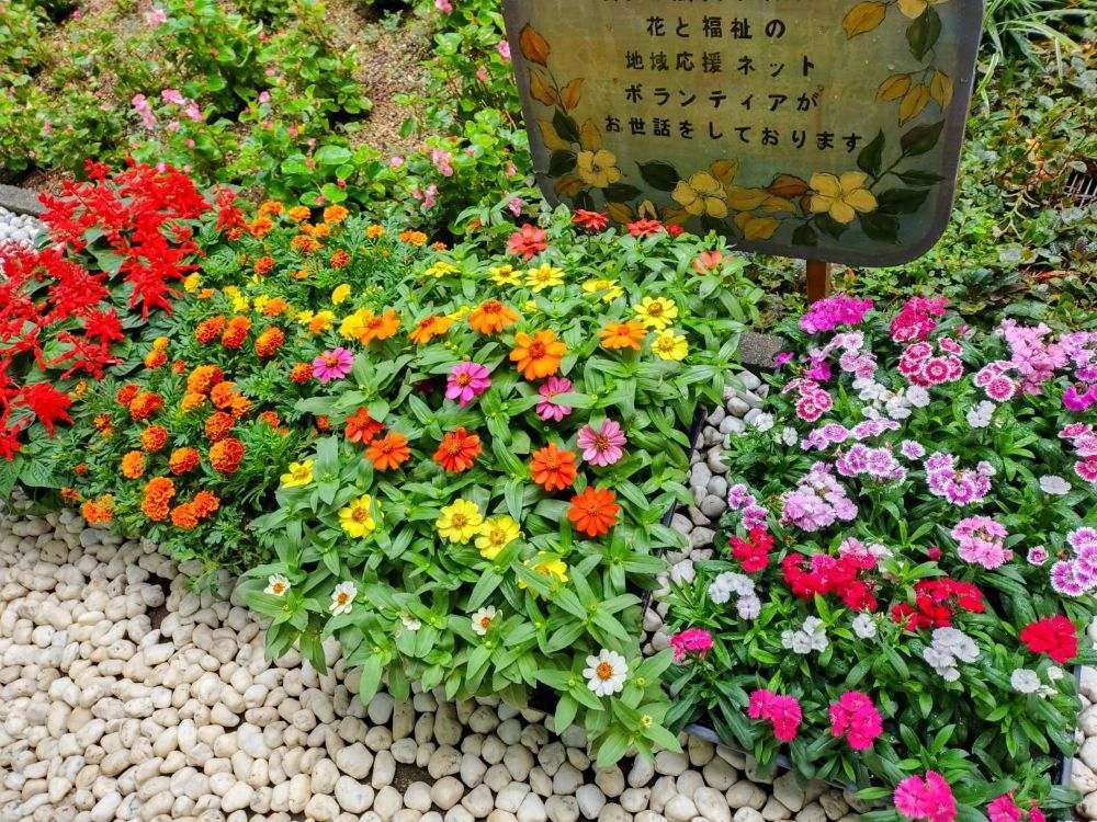 医療センター　260918