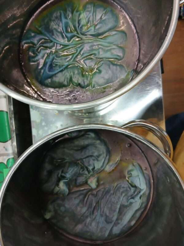 草木染 260919