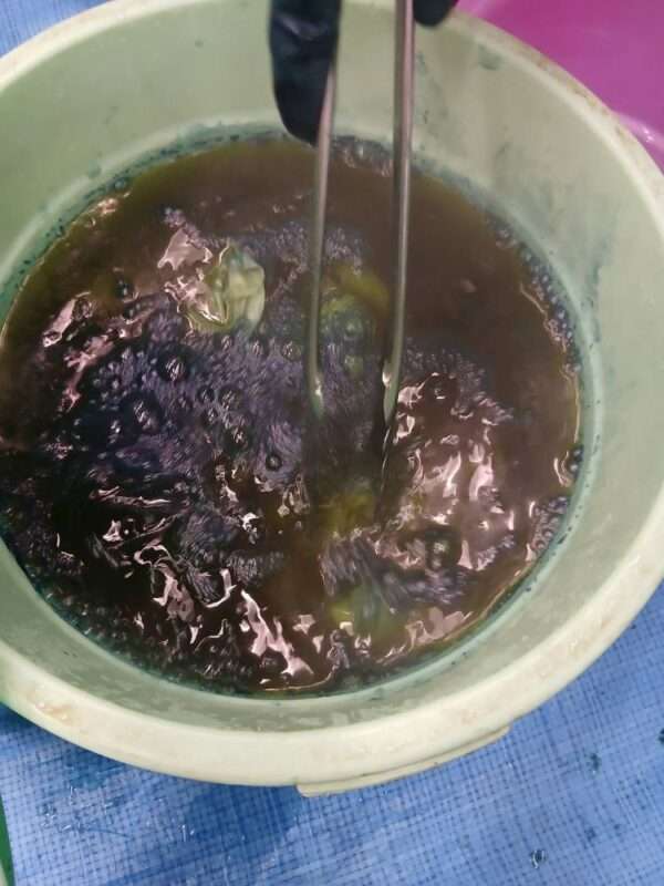 草木染 260919