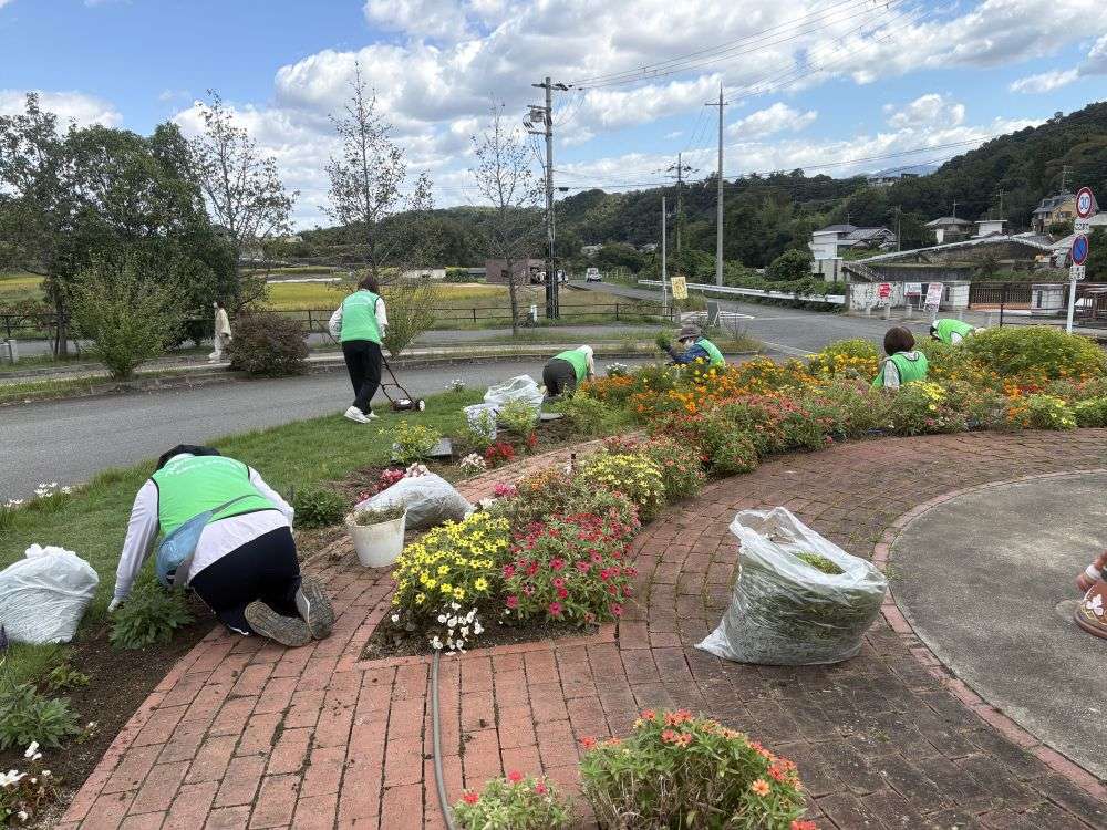 くろまろ　261007